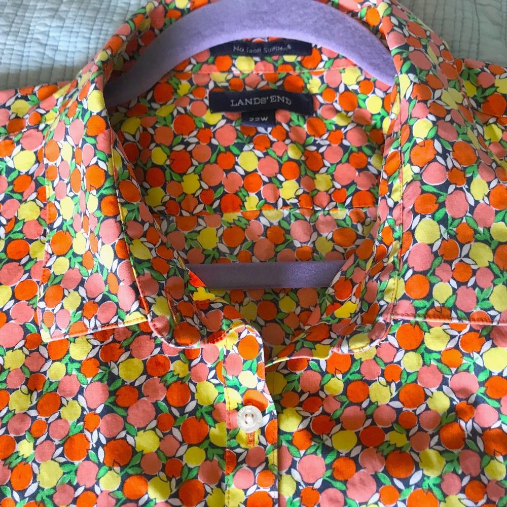 Graphic Lands End No Iron Supima 22W top